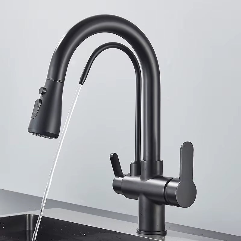 Matte Black Pull-Down Kitchen Faucet with Filter - Image 4