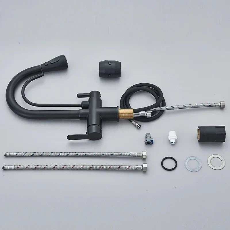 Matte Black Pull-Down Kitchen Faucet with Filter - Image 6