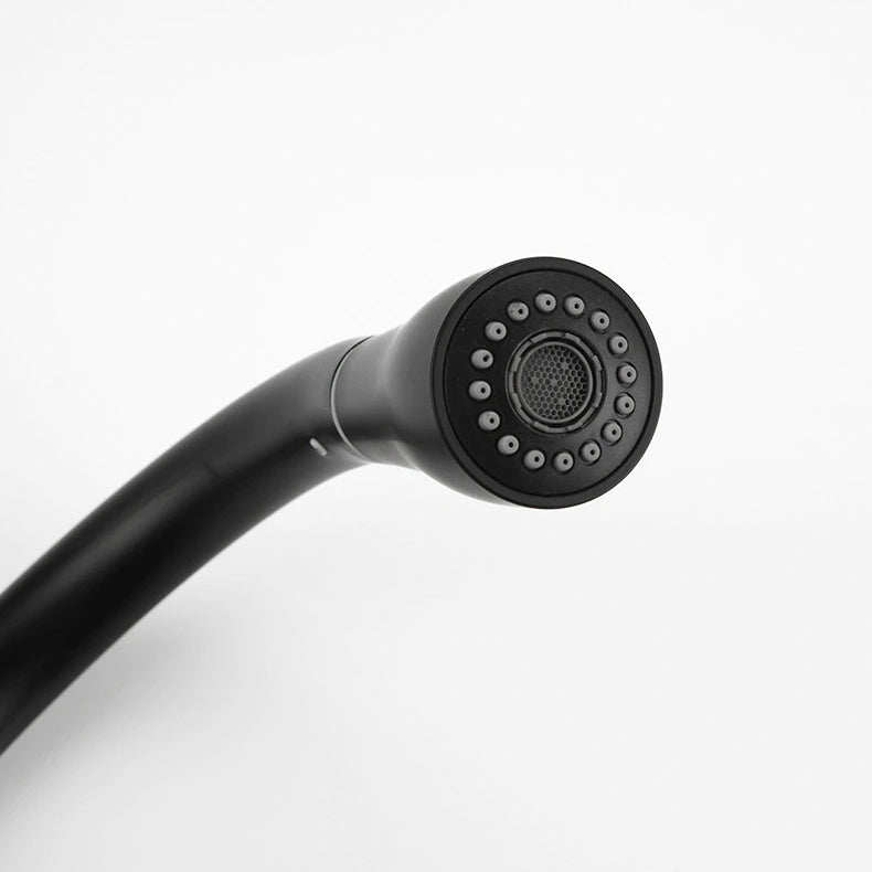 Matte Black Pull-Down Gooseneck Kitchen Faucet - Image 3