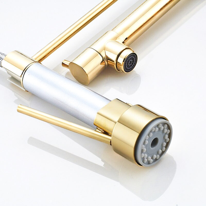 Gold Kitchen Faucet with Spring Coil and Pot Filler - Image 4