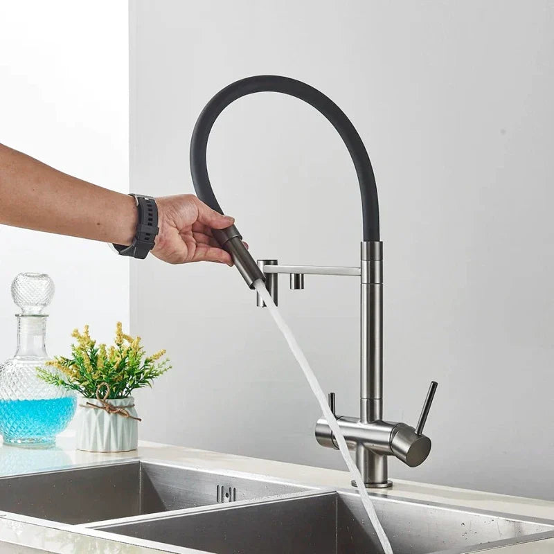 Brushed Nickel Kitchen Faucet with Flexible & Filter Tap - Image 2