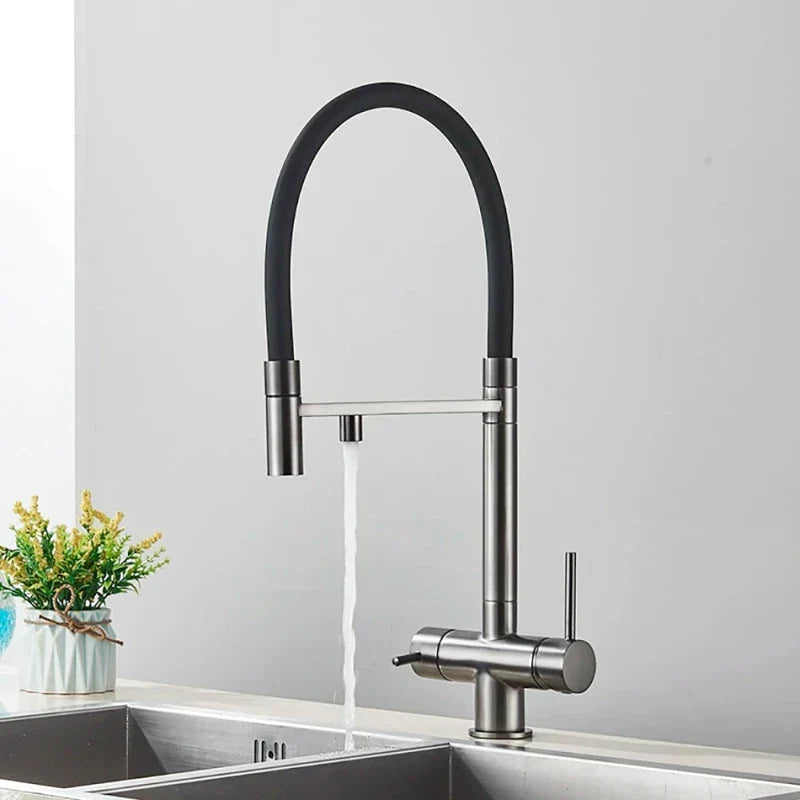 Brushed Nickel Kitchen Faucet with Flexible & Filter Tap - Image 6